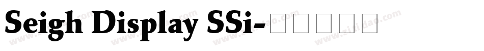 Seigh Display SSi字体转换
